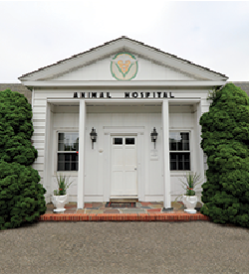 About Our Hospital | East Hampton Veterinary Group